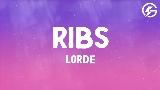 動画サムネイル Ribs