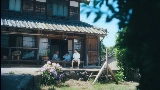 動画サムネイル 夏の影