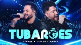 動画サムネイル Tubarões - Ao Vivo
