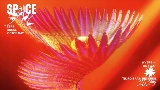 動画サムネイル Space