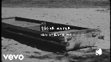 動画サムネイル Sugar Water