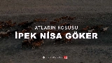動画サムネイル Atların Koşusu