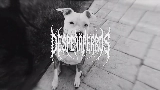 動画サムネイル MARTINETE
