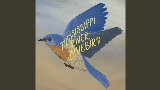 動画サムネイル Mississippi River Bluebird