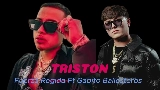 動画サムネイル triston
