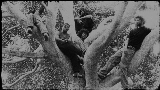 動画サムネイル Coco Gauff