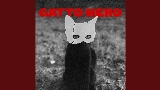 動画サムネイル GATTO NERO