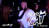 動画サムネイル Stray Cat
