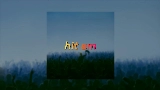 動画サムネイル Hit Em