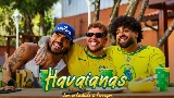 動画サムネイル Havaianas