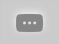 動画サムネイル Comportement