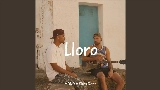 動画サムネイル Lloro