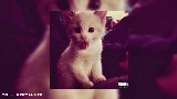 動画サムネイル янпс