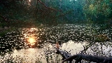 動画サムネイル Mother's Love Conquers All
