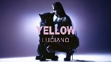 動画サムネイル Yellow