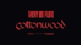 動画サムネイル Cottonwood