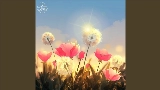 動画サムネイル Warm Feelings