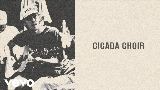 動画サムネイル Cicada Choir