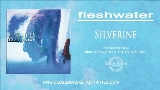 動画サムネイル Silverine