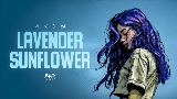 動画サムネイル Lavender Sunflower