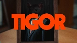動画サムネイル TIGOR
