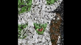 動画サムネイル Braces