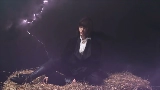 動画サムネイル Horses