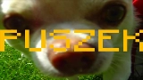 動画サムネイル TO PIPY