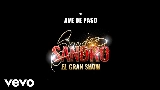 動画サムネイル Ave de Paso