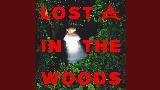 動画サムネイル Lost In The Woods