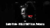動画サムネイル MELLSTROY