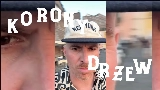 動画サムネイル Korony drzew