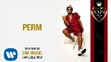動画サムネイル Perm