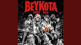 動画サムネイル BeYKota