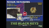 動画サムネイル No Rain, No Flowers