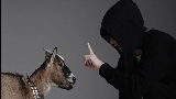 動画サムネイル 100 Tysięcy