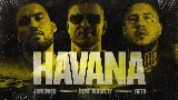 動画サムネイル Havana