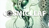 動画サムネイル World of fungi