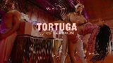 動画サムネイル Tortuga