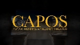 動画サムネイル Capos