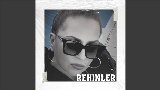 動画サムネイル Rehinler