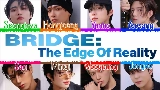 動画サムネイル Bridge : The Edge of Reality
