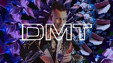 動画サムネイル DMT