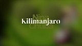 動画サムネイル Kilimanjaro
