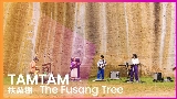 動画サムネイル 扶桑樹 - The Fusang Tree