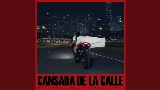 動画サムネイル Cansada De La Calle