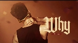 動画サムネイル WHY