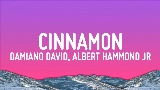 動画サムネイル Cinnamon (feat. Albert Hammond Jr)