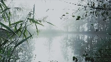 動画サムネイル reverie