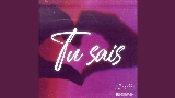 動画サムネイル Tu sais